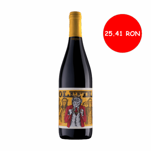 Politika Conservator